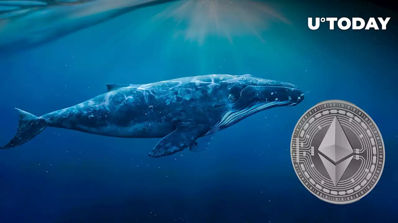 Sleeping Ethereum Whale Emerges