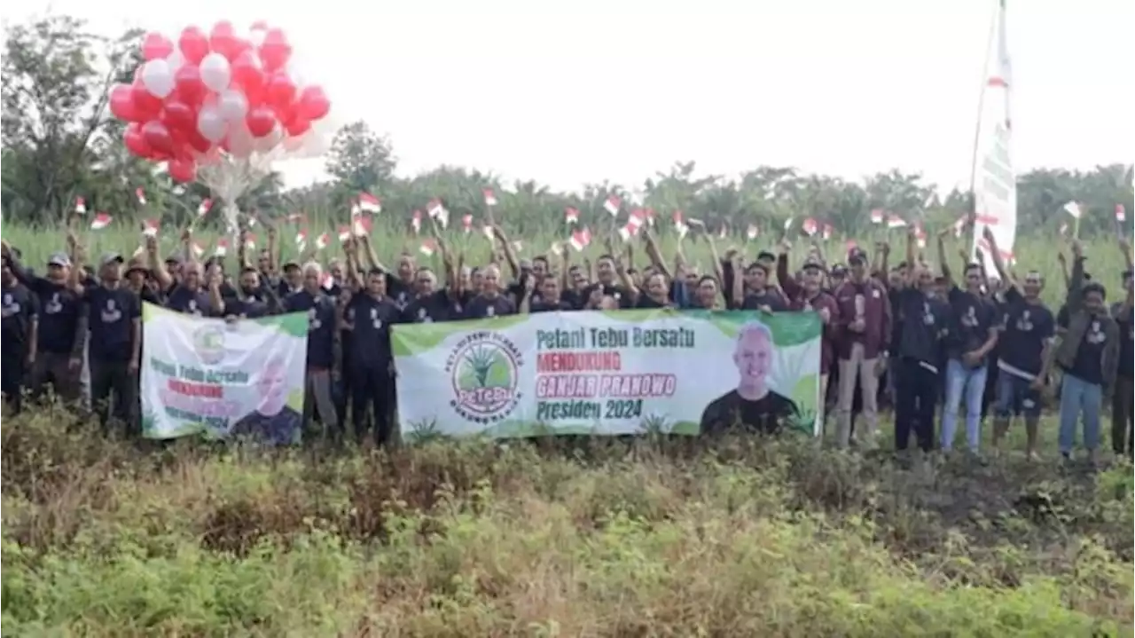 Dukung Ganjar, Ini Harapan Petani Tebu di Sumut