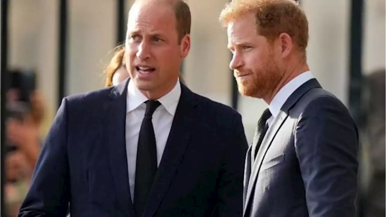 Makin Panas, Terungkap Pemicu Konflik Pangeran William-Harry Hingga Tak Saling Sapa