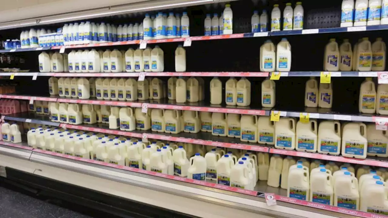 Aussie milk brand sold at Coles and Woolworths collapses