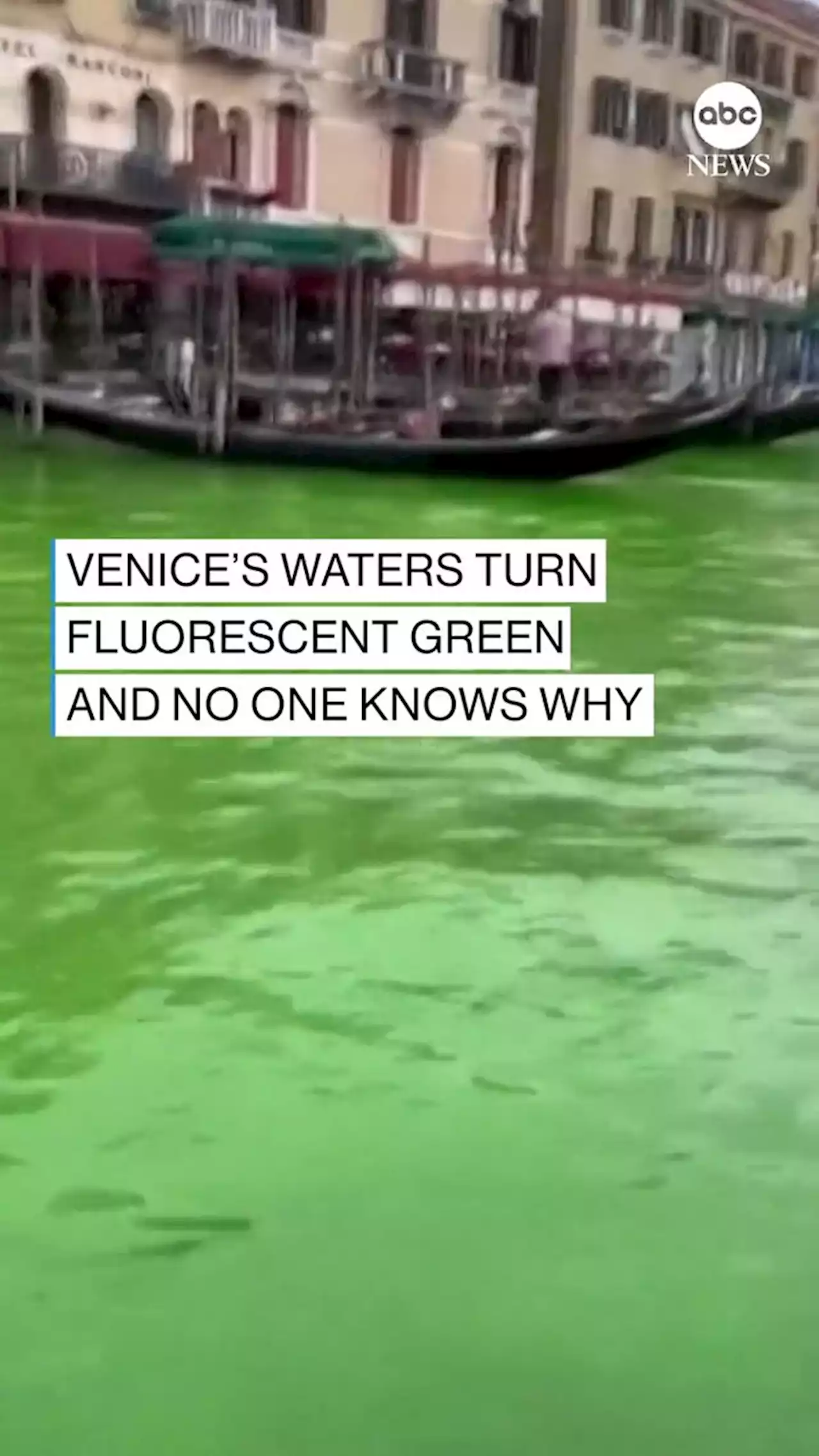 Venice police investigate bright green liquid in Grand Canal