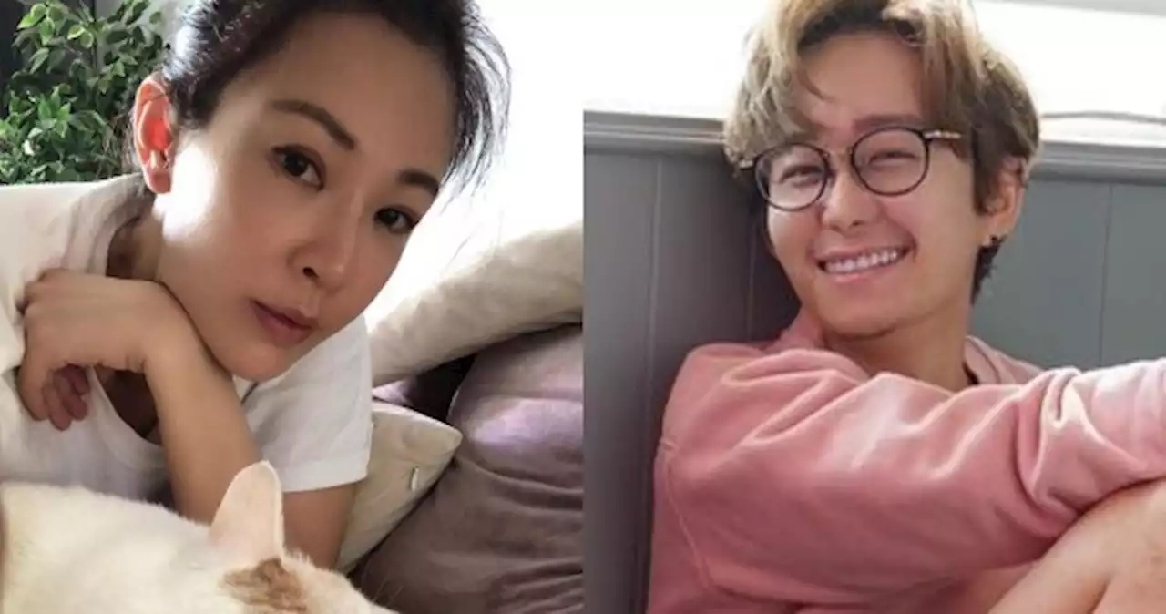 'My wife was a man in a past life?' Jeremy Chan discerns Jesseca Liu's fate with pet cat through psychic