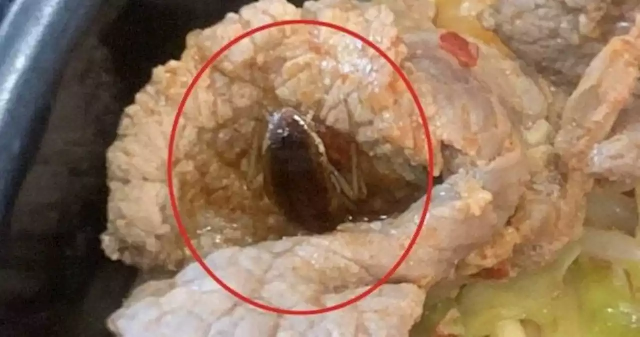 Woman finds cockroach midway through army stew meal at Clementi Mall, says staff was indifferent