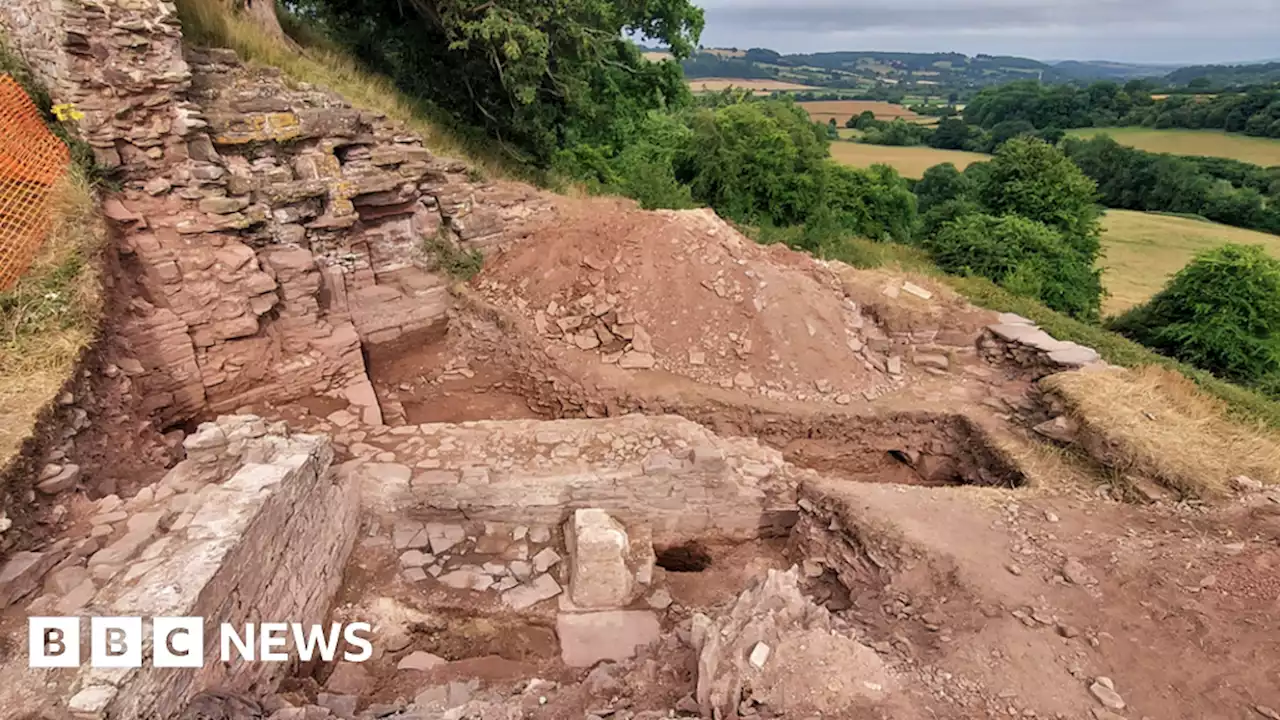 Appeal to raise £60,000 for dig at unusual royal chapel