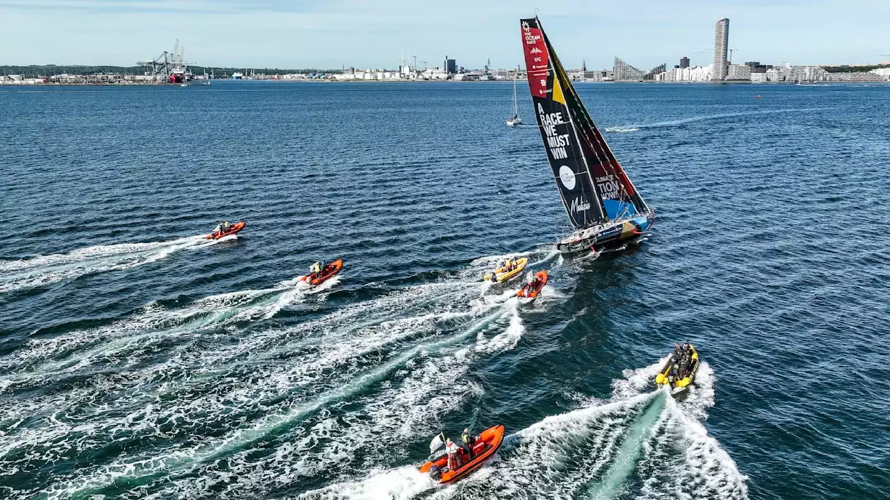 Ocean Race: Boris Herrmann auf Platz 3, 11th Hour siegt in Aarhus