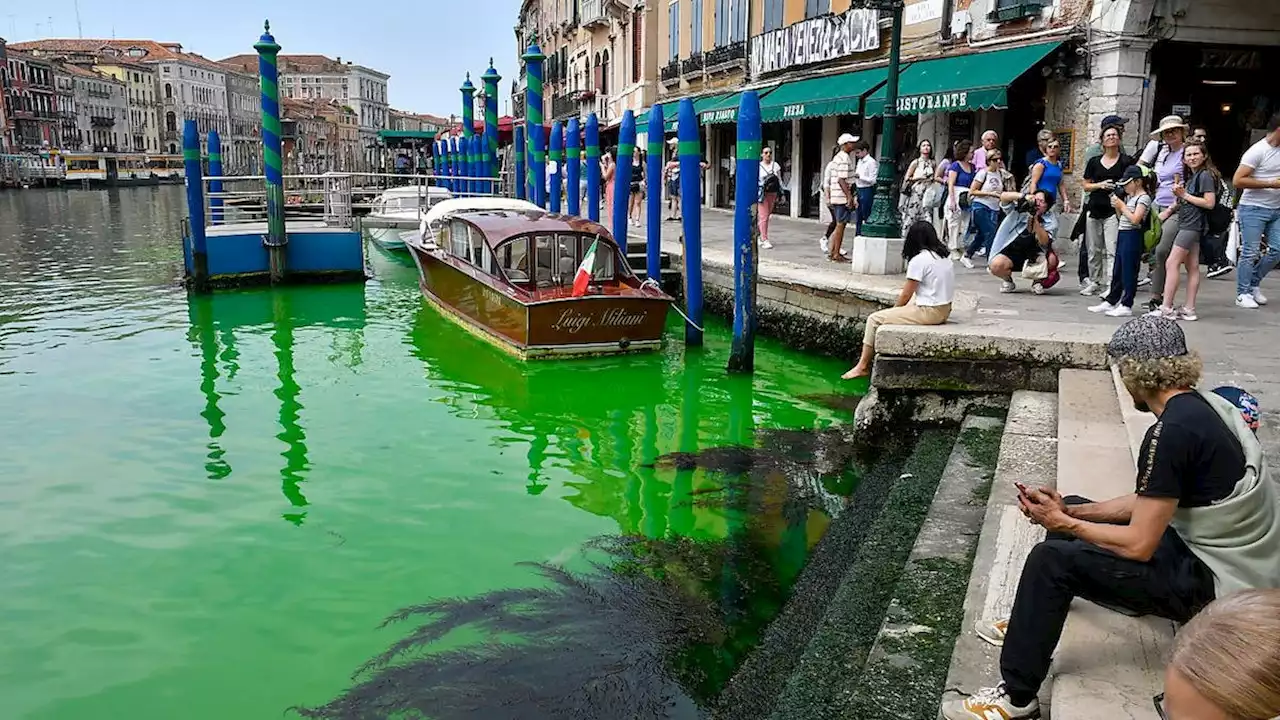 Experten geben wegen grün leuchtendem Canal Grande Entwarnung