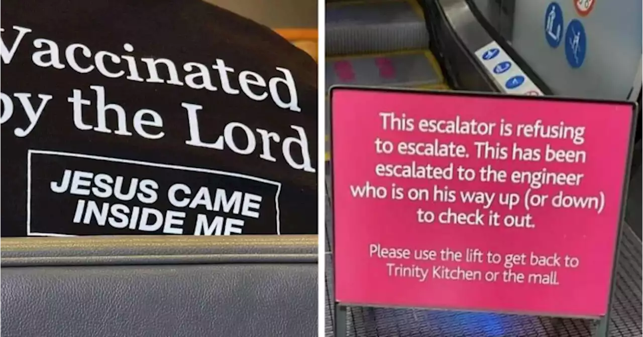 50 Absolutely Dumb Signs For Those In Need Of A Good Laugh, Courtesy Of This Group (New Pics)