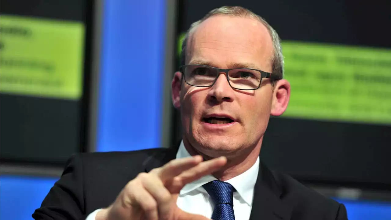 Coveney did not raise issue of Irish staff cuts with Meta boss