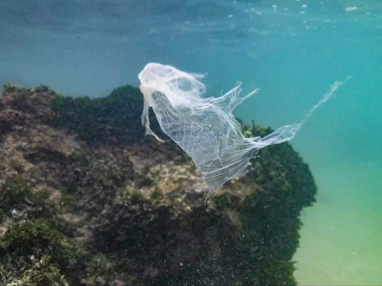 UN talks on a treaty to end global plastic pollution open in Paris