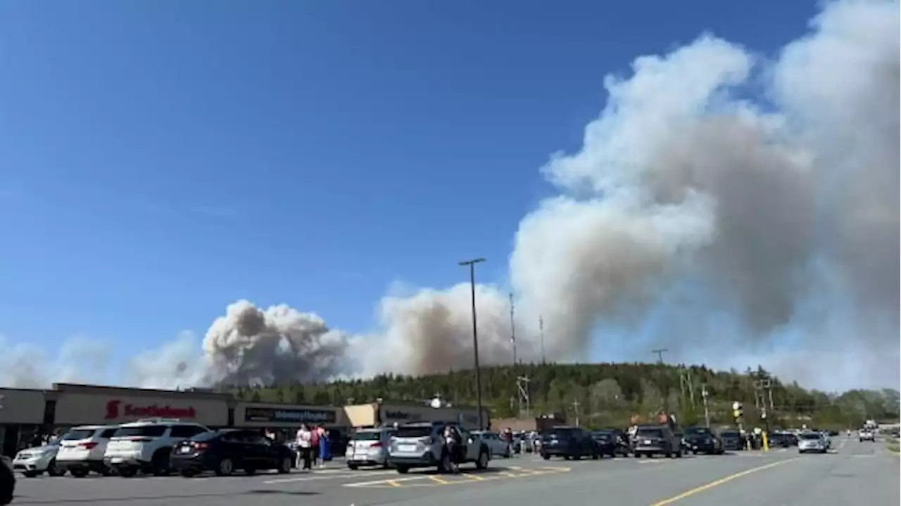 Local state of emergency declared as forest fire rages near Halifax | CBC News