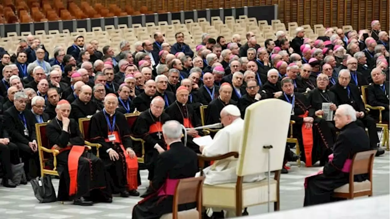 Vatican to bishops, Catholic leaders: Lay off the divisive social media posts | CBC News