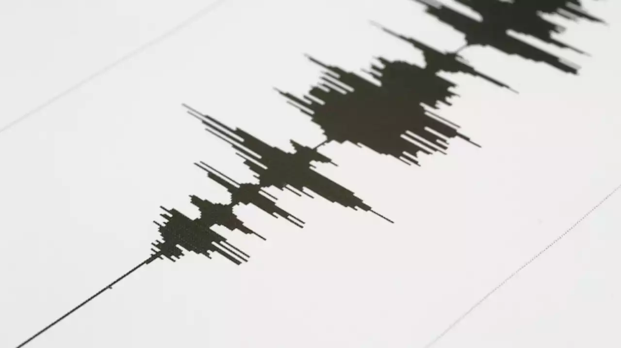 Largest earthquake in 120 years rattles Melbourne but causes little damage