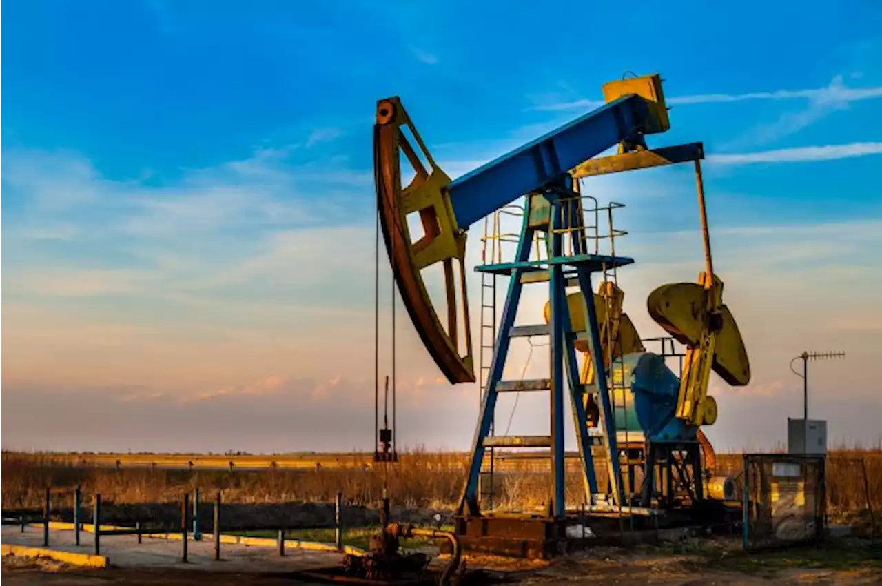 Crude Oil Forecast: Markets Show Resilience