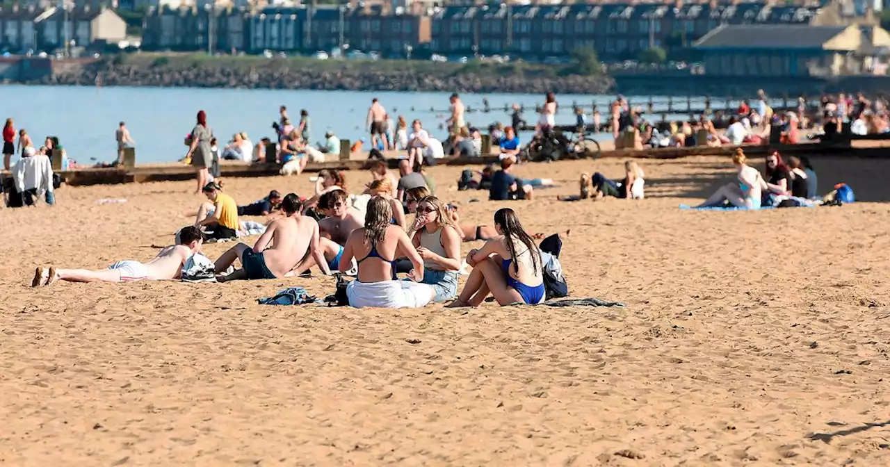 Scotland to sizzle in 25C sunshine as 'hottest day of year' set for this week