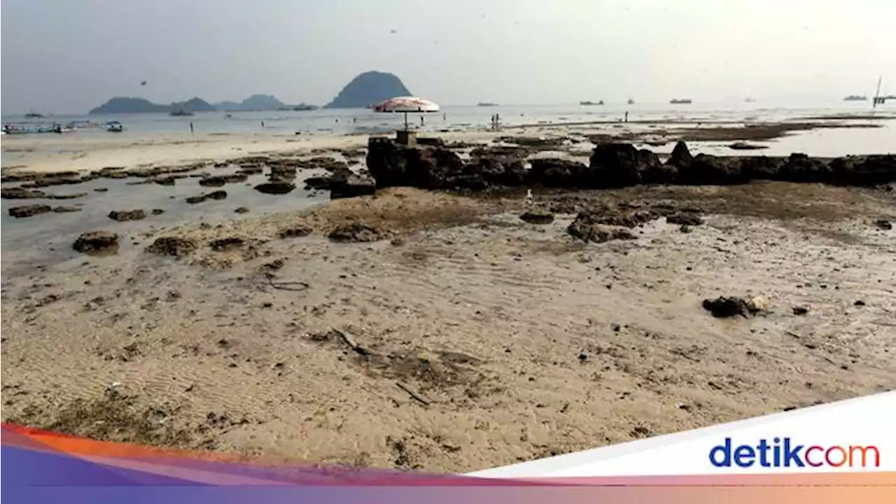 20 Tahun Dilarang, Kini Jokowi Izinkan Ekspor Pasir Laut