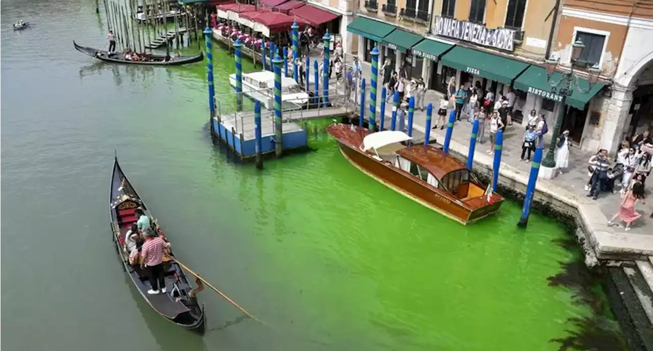 Canal de Venecia se tiñe de verde fluorescente. ¿Por qué? | El Universal