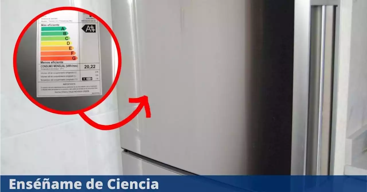 La importante razón por la que los refrigeradores siempre tienen una etiqueta al costado