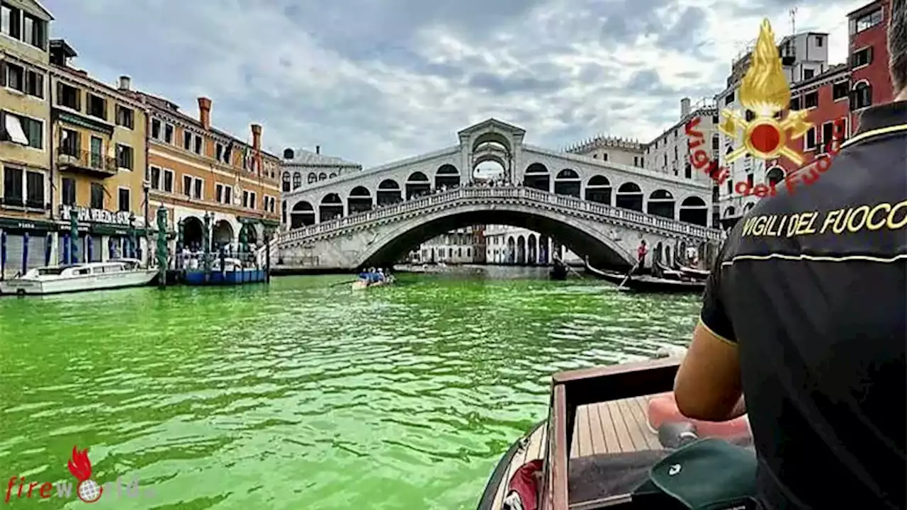 Italien: Giftgrüner Canal Grande in Venedig