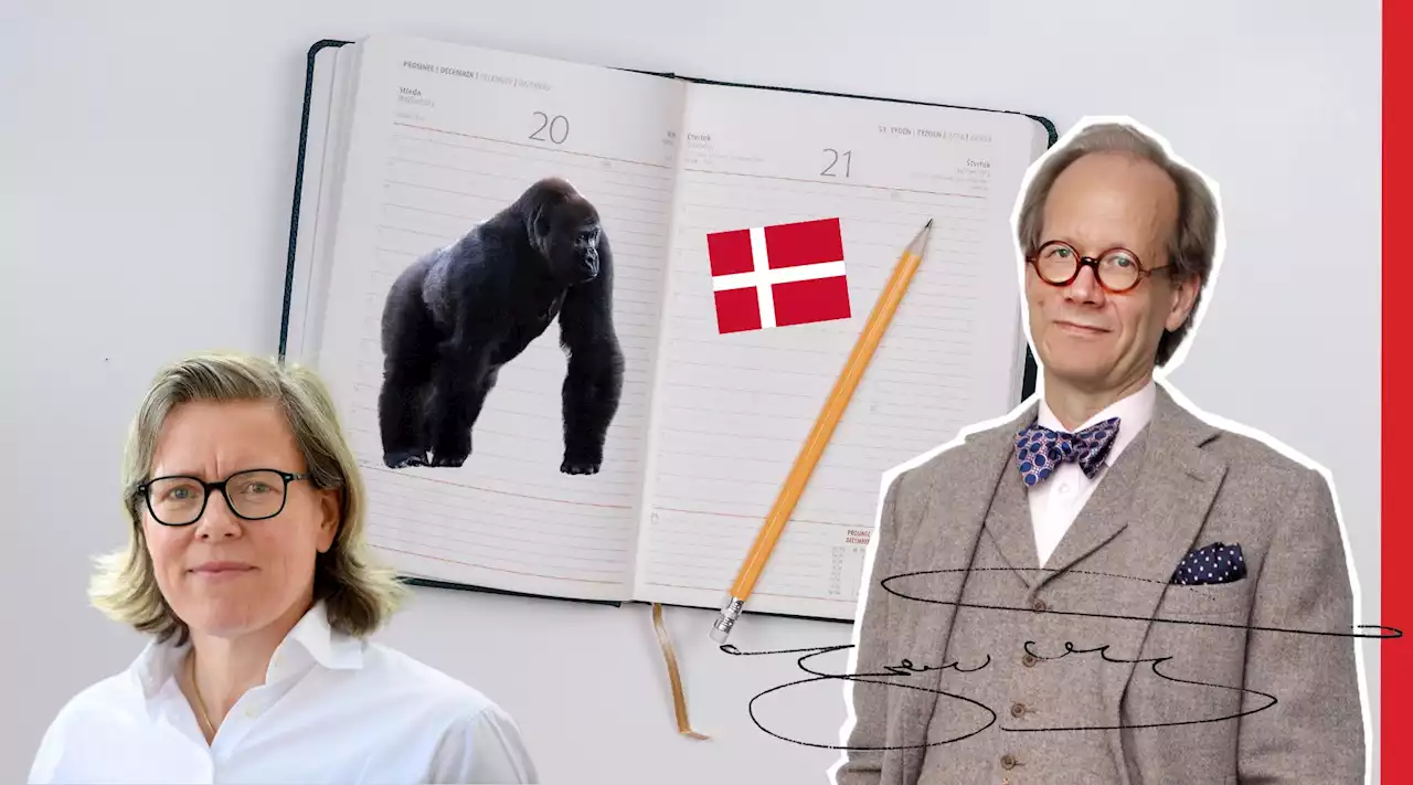 Johan Hakelius: Gorillor, Lena Andersson, Danmark och earlen - Fokus