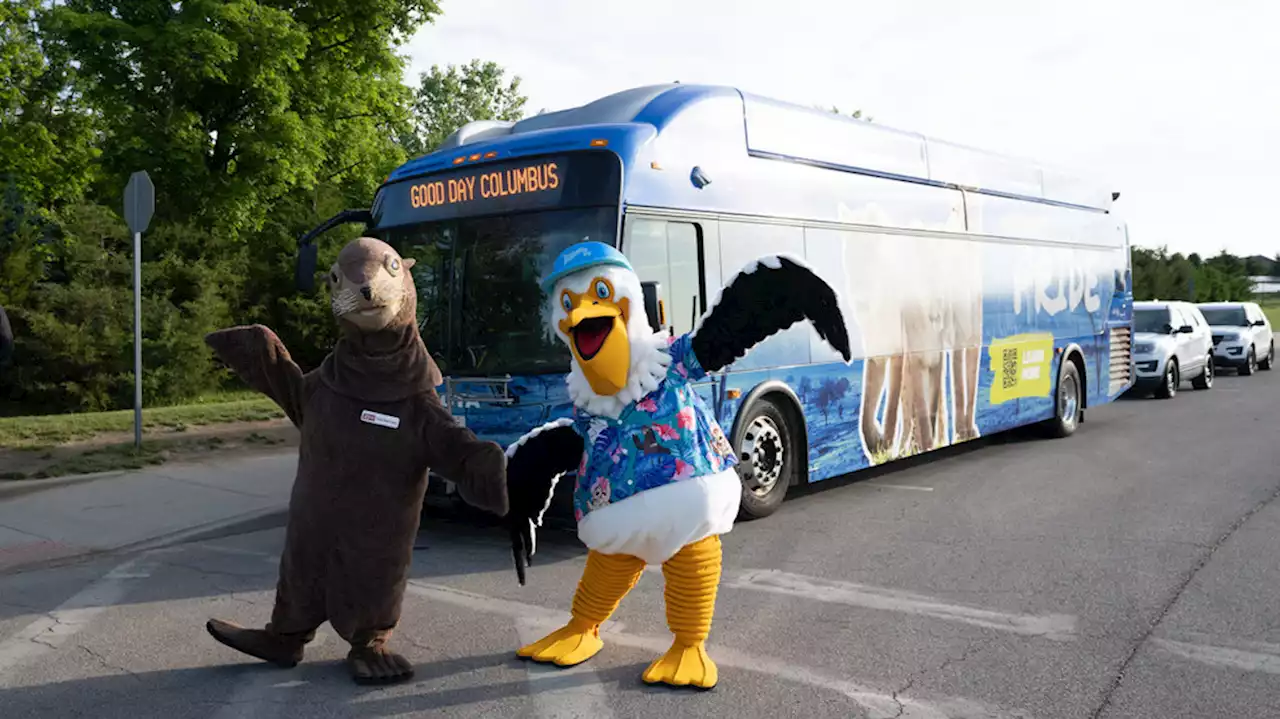 Zoo Bus is back with big deals all summer long