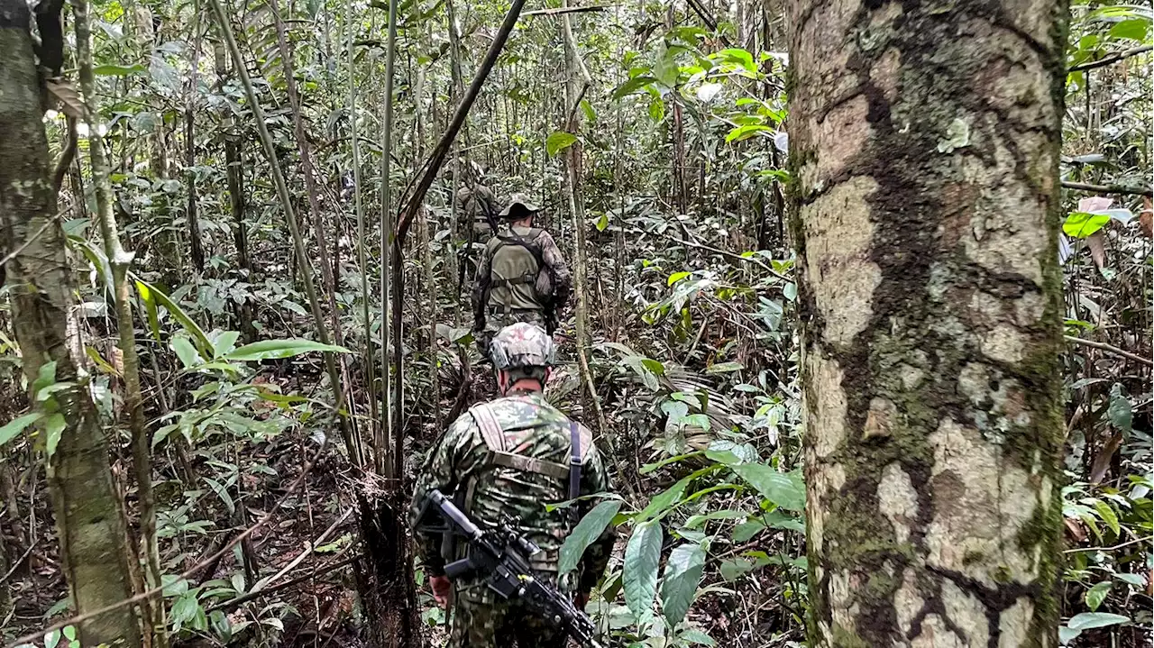 Colombie : les enfants disparus depuis un mois dans la jungle sont 'vivants', selon les autorités