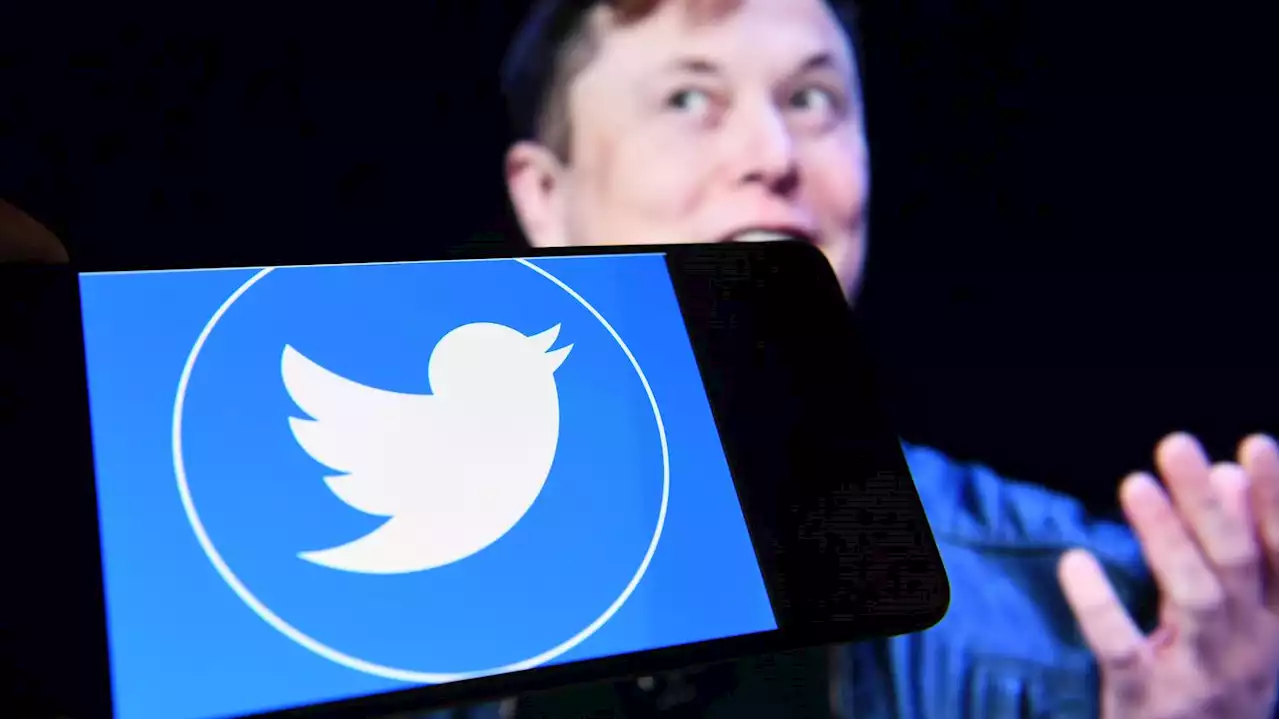 Twitter quitte le code de l'UE contre la désinformation : 'Elon Musk veut voir qui est le plus fort', estime un spécialiste