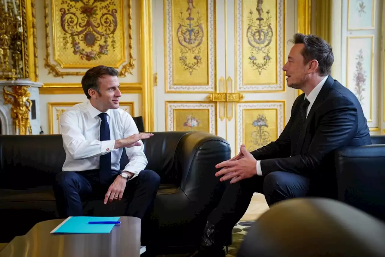 « Twitter ne sera plus le bienvenu en Europe » : le gouvernement menace Elon Musk