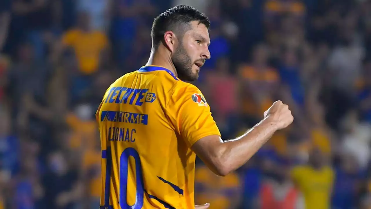 Desde que Gignac llegó, Tigres es el equipo que más títulos de Liga MX ha ganado