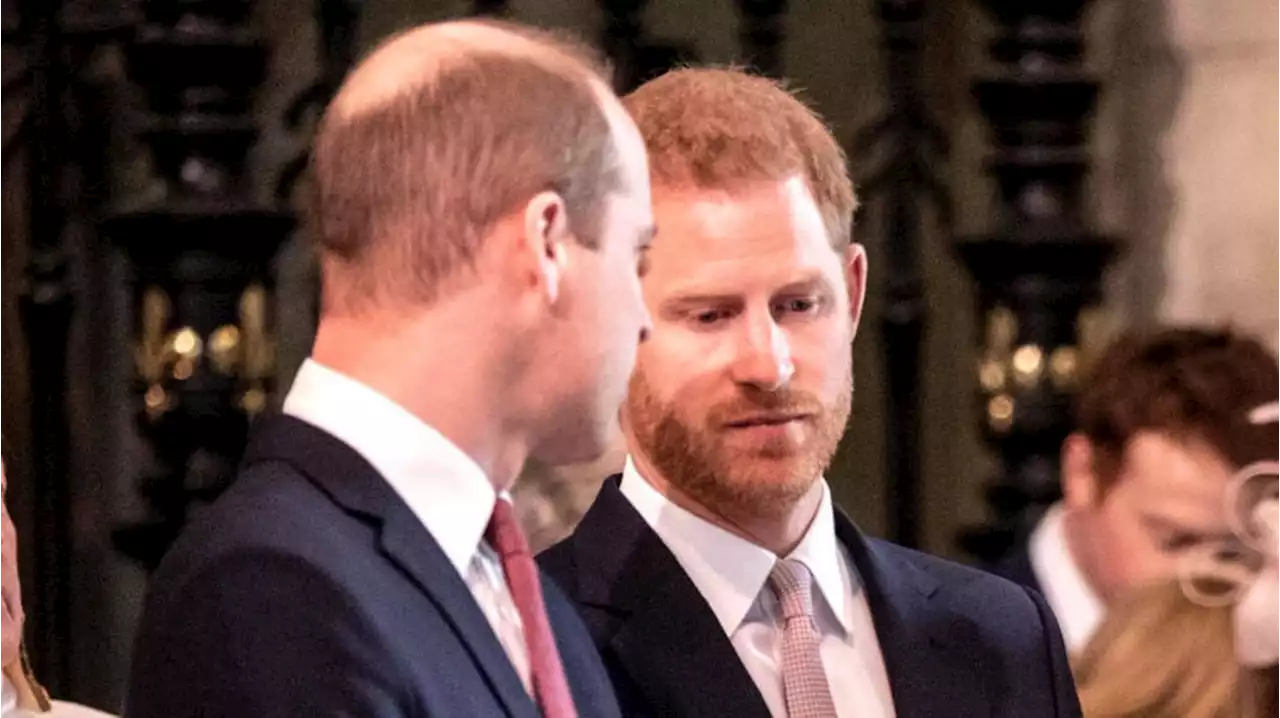 Prinz William + Prinz Harry: Insider plaudert geheimes Treffen mit Diana-Vertrauten aus