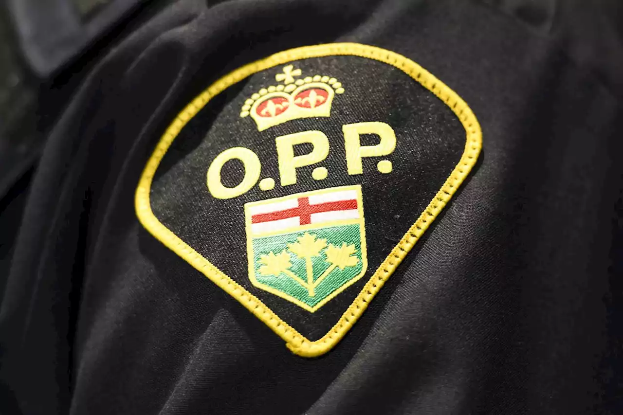 OPP officer and school bus driver die in crash near Woodstock, police say