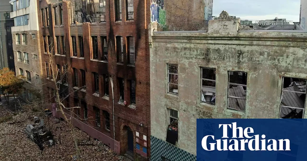 Dogs to search for human remains after walls of fire-damaged Surry Hills building are demolished