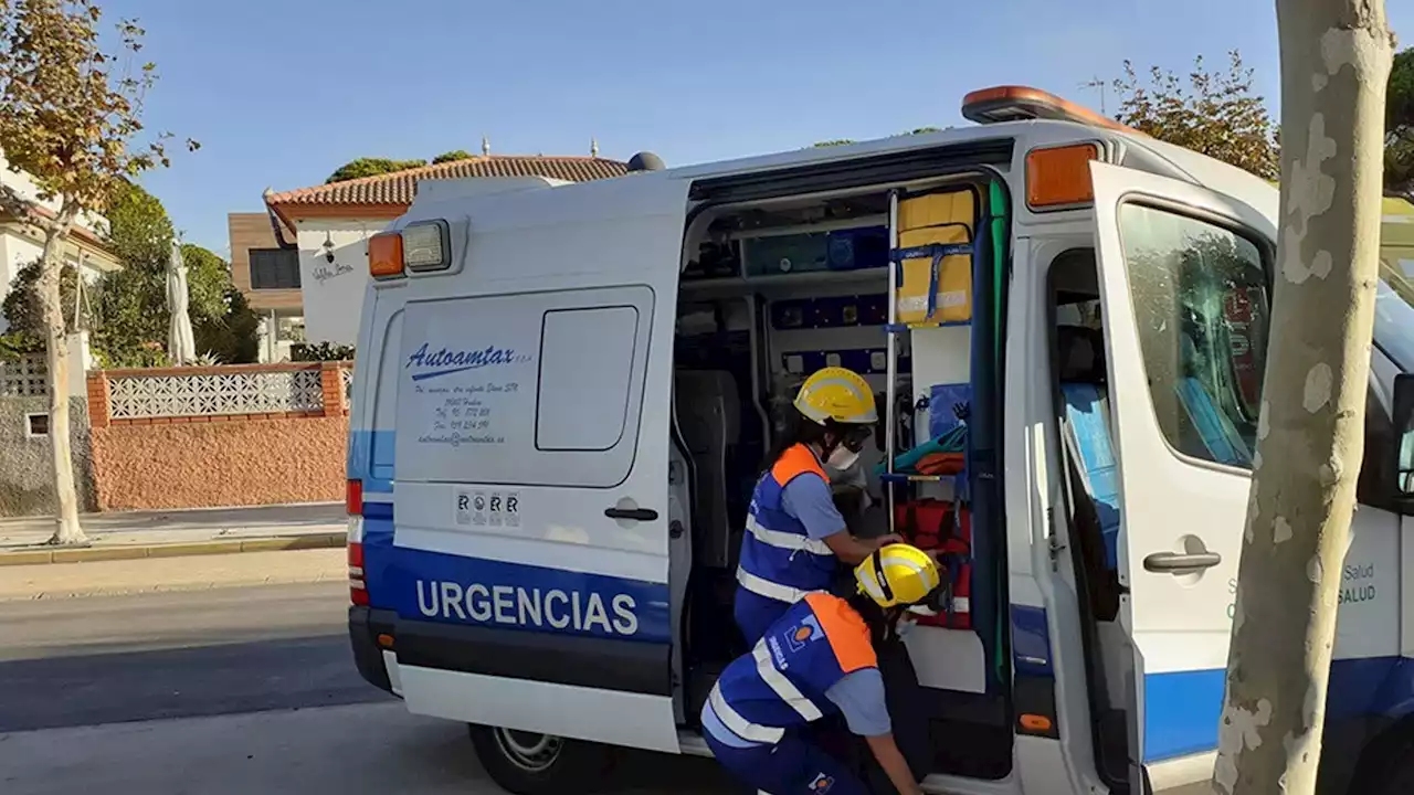 Muere un motorista tras chocar con una vaca en la carretera de Benalup, en Cádiz