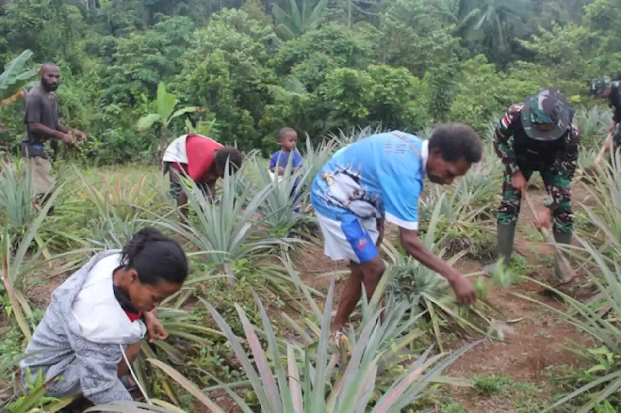 Ajak Warga Perbatasan Berkebun