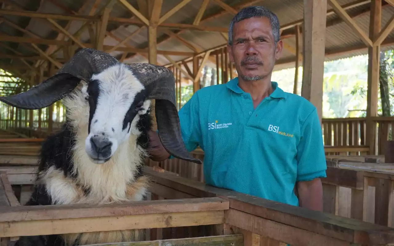 BSI & BSI Maslahat Resmikan Desa Bangun Sejahtera Indonesia Klaster Domba Kambing