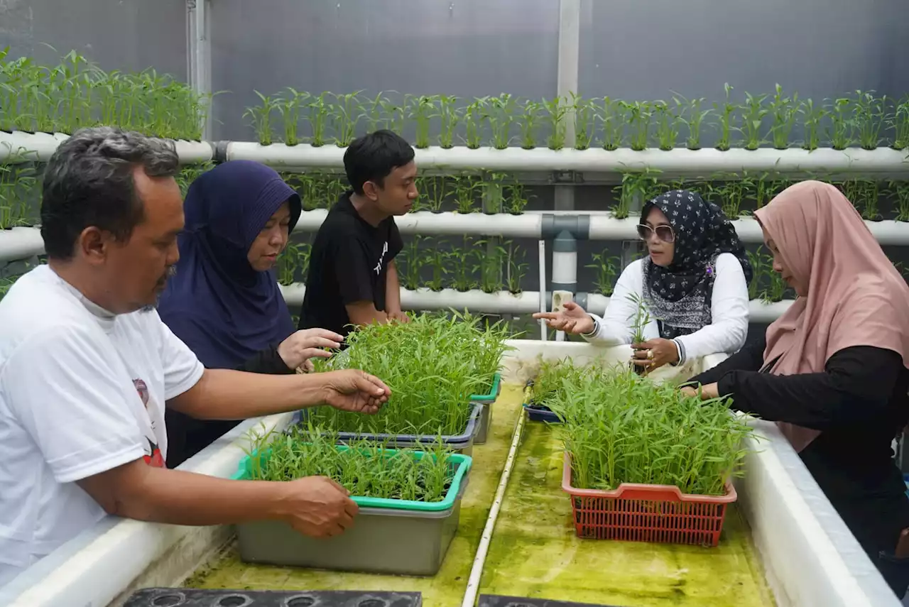 OMG Dukung Inovasi Masyarakat dan Bantu Renovasi Green House di Pulogadung