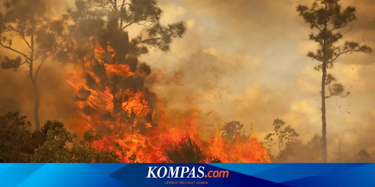 Antisipasi Karhutla, BNPB Kerahkan Pesawat Modifikasi Cuaca Selama 15 Hari di Kalbar