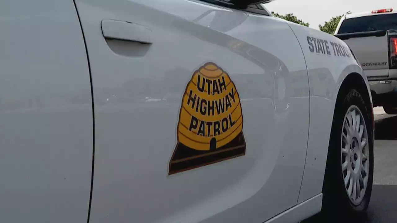 Driver arrested after fleeing on foot from Utah County deputies