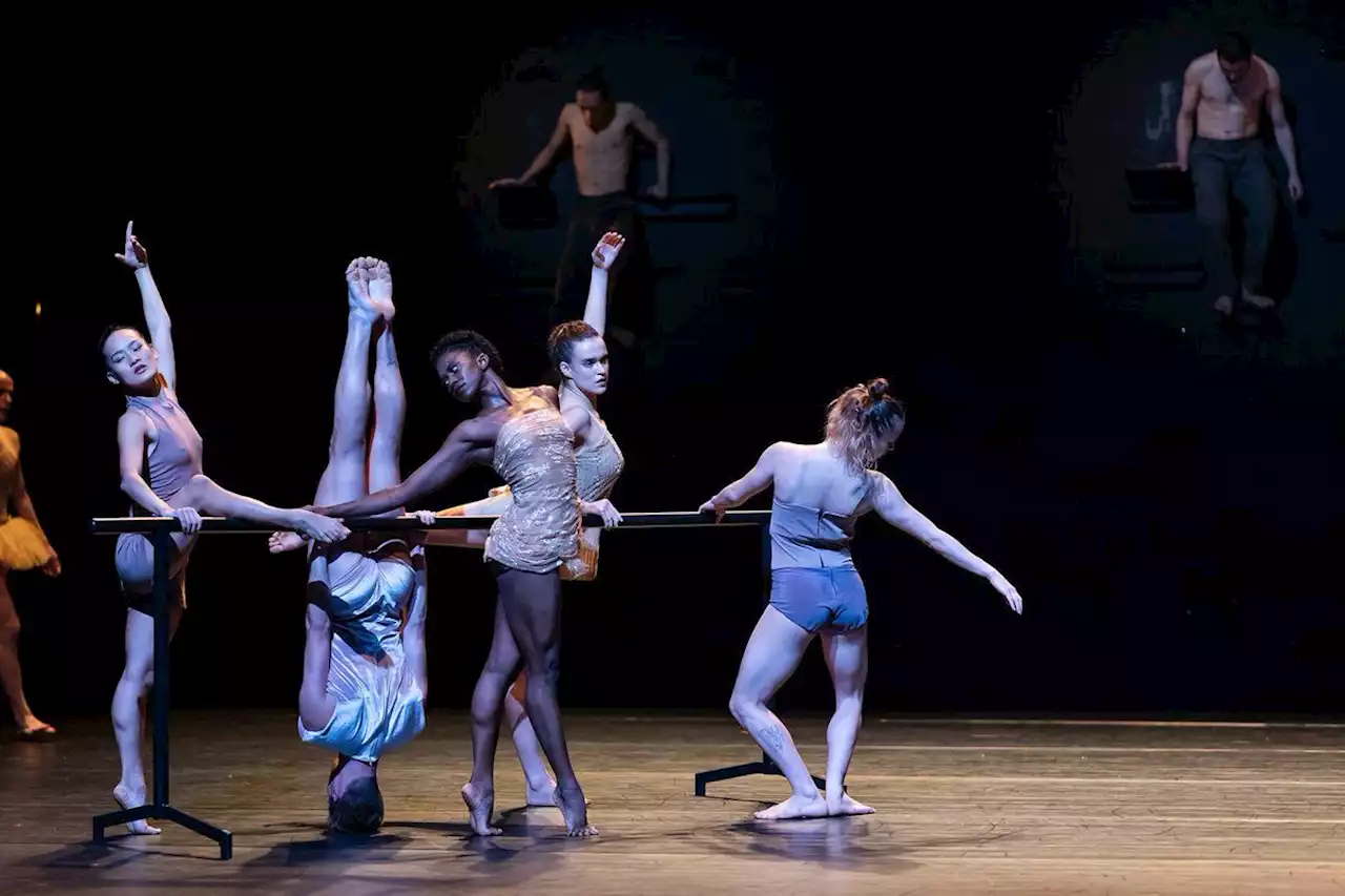 Danse : « Momo » à la Villette, les chemins de la liberté