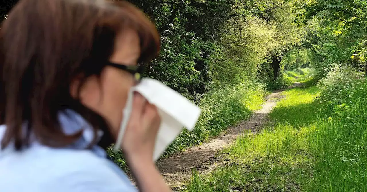 Allergies : la majeure partie de la France en alerte rouge aux pollens de graminées