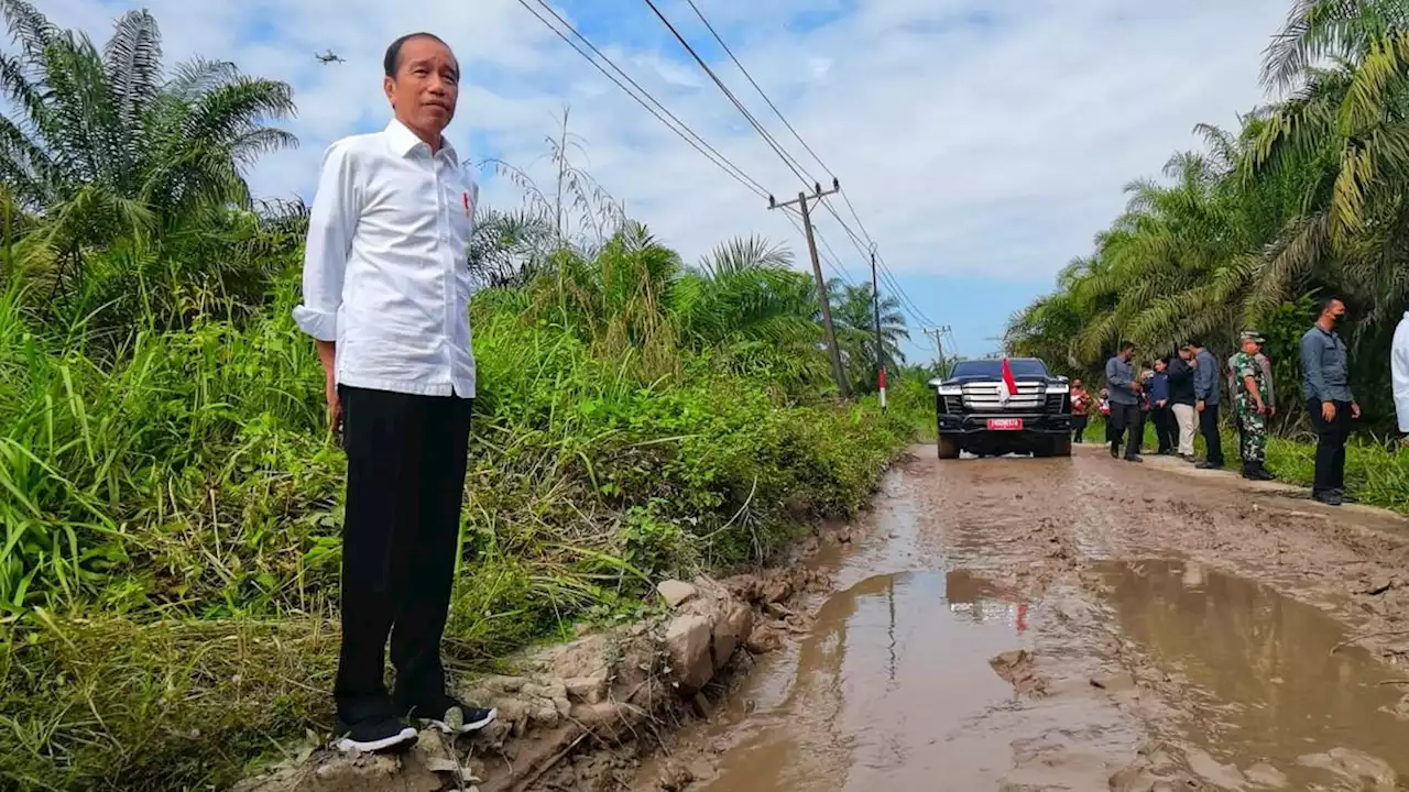 Penjelasan Istana soal Jokowi Ikut Cawe-cawe: Ingin Pastikan Pemilu 2024 Berjalan Jujur