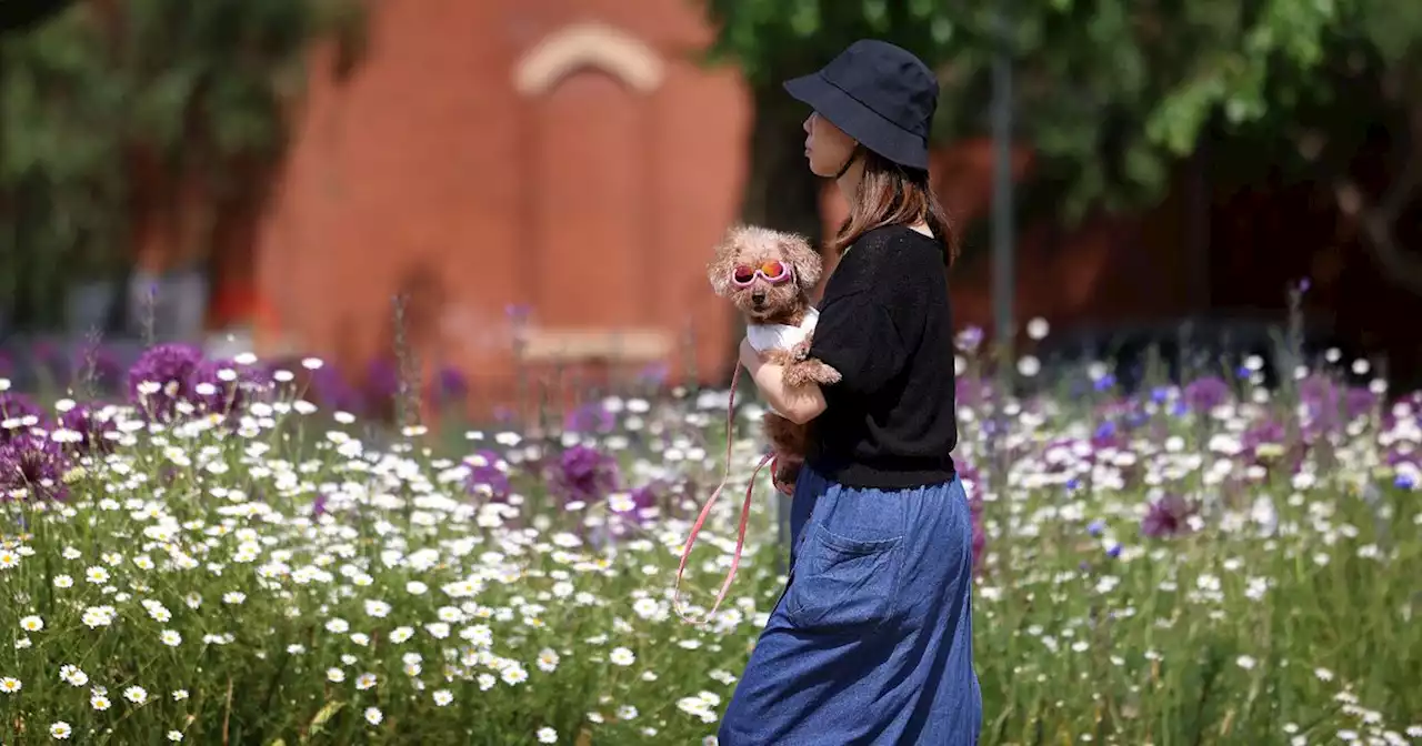 Manchester's weather as Met Office says Tuesday will be UK's hottest day of year