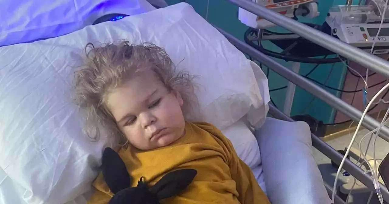 Toddler, 3, died after catching herpes as parents warn others