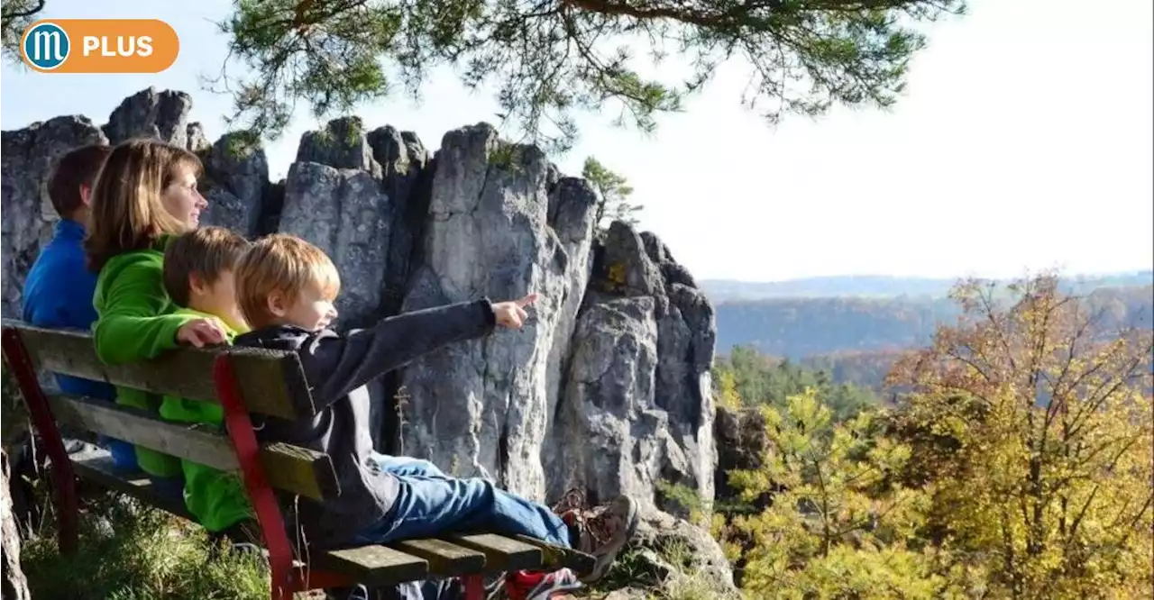 Radtour, Tiergehege, Steinriesen: Tipps für kleine Abenteuer im Kreis Regensburg