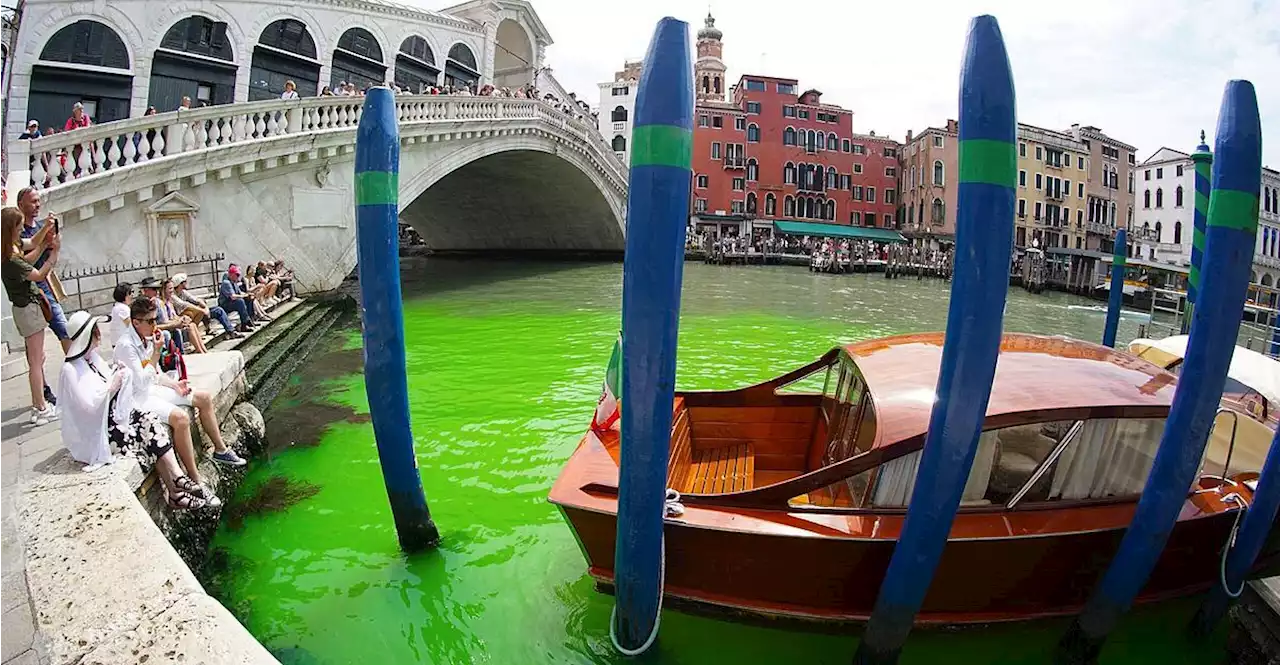 Grüne Flüssigkeit im Canale Grande in Venedig nicht gefährlich