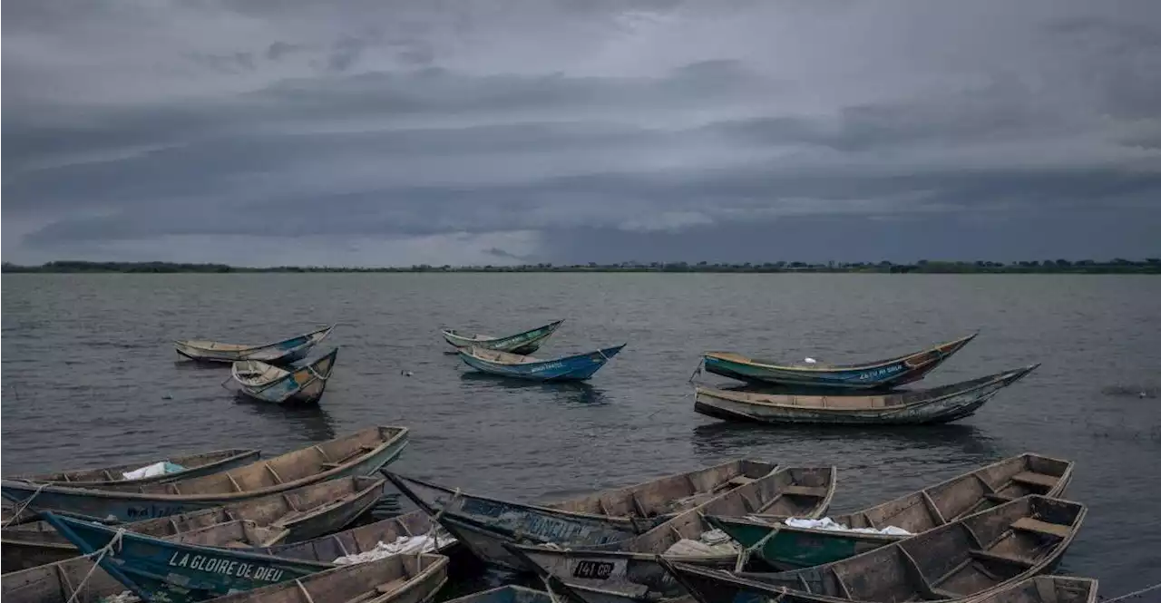 Zwei Ranger in kongolesischem Virunga-Nationalpark getötet