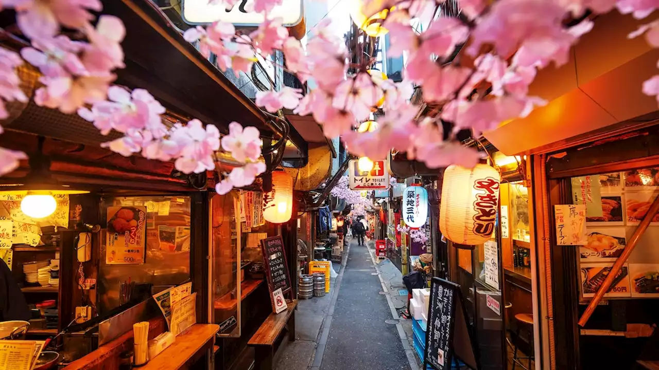 A culinary guide to Tokyo