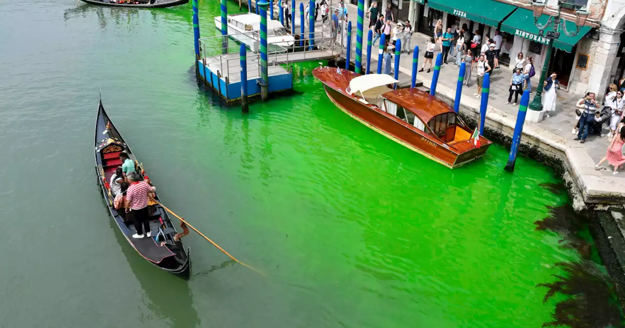 Venice police investigating after famed Grand Canal turns bright green