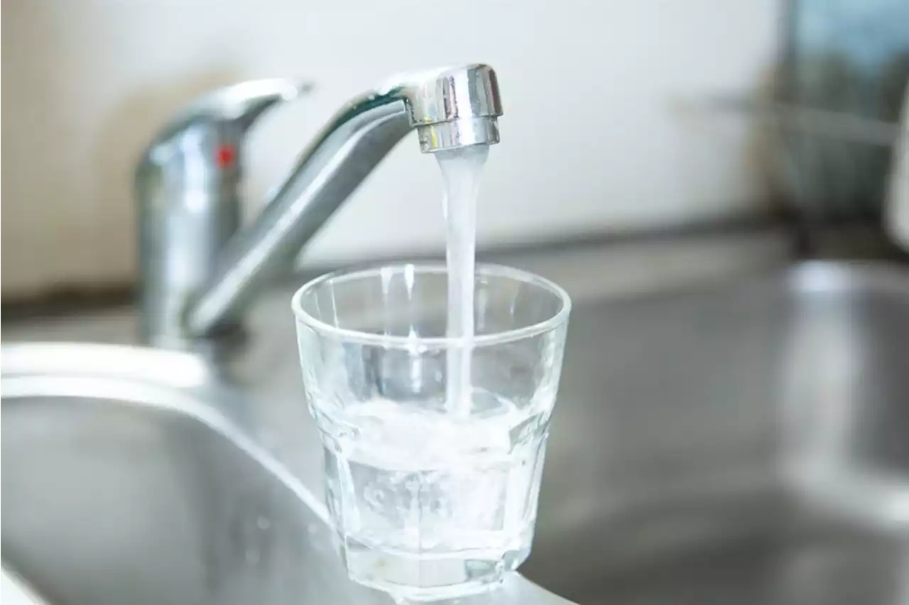 Gauteng and Free State tap water safe to drink despite cholera outbreak, govt says | News24