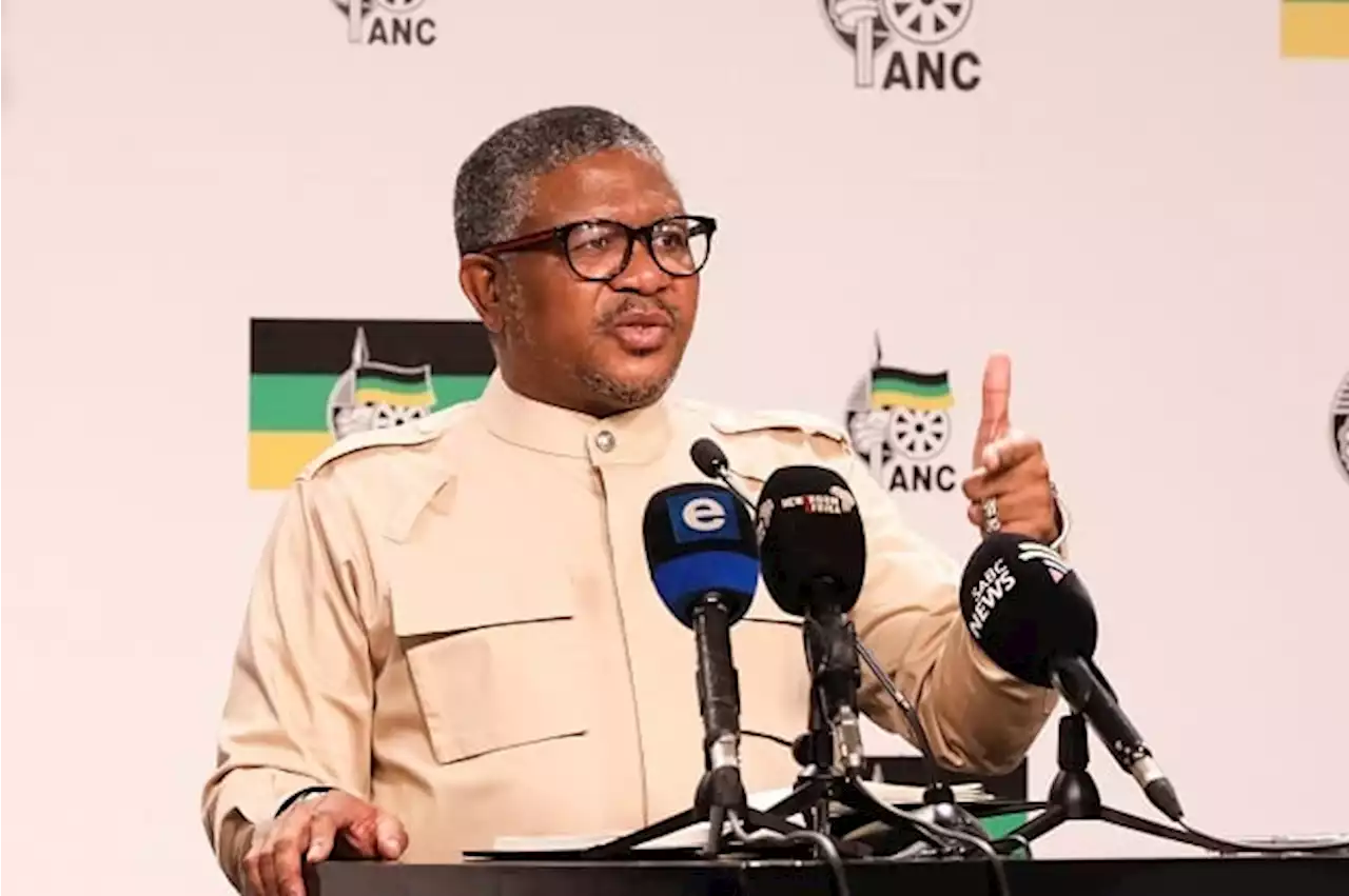 'Heads will roll' if allegations that ANC MPs solicited a bribe from Mkhwebane are true - Mbalula | News24