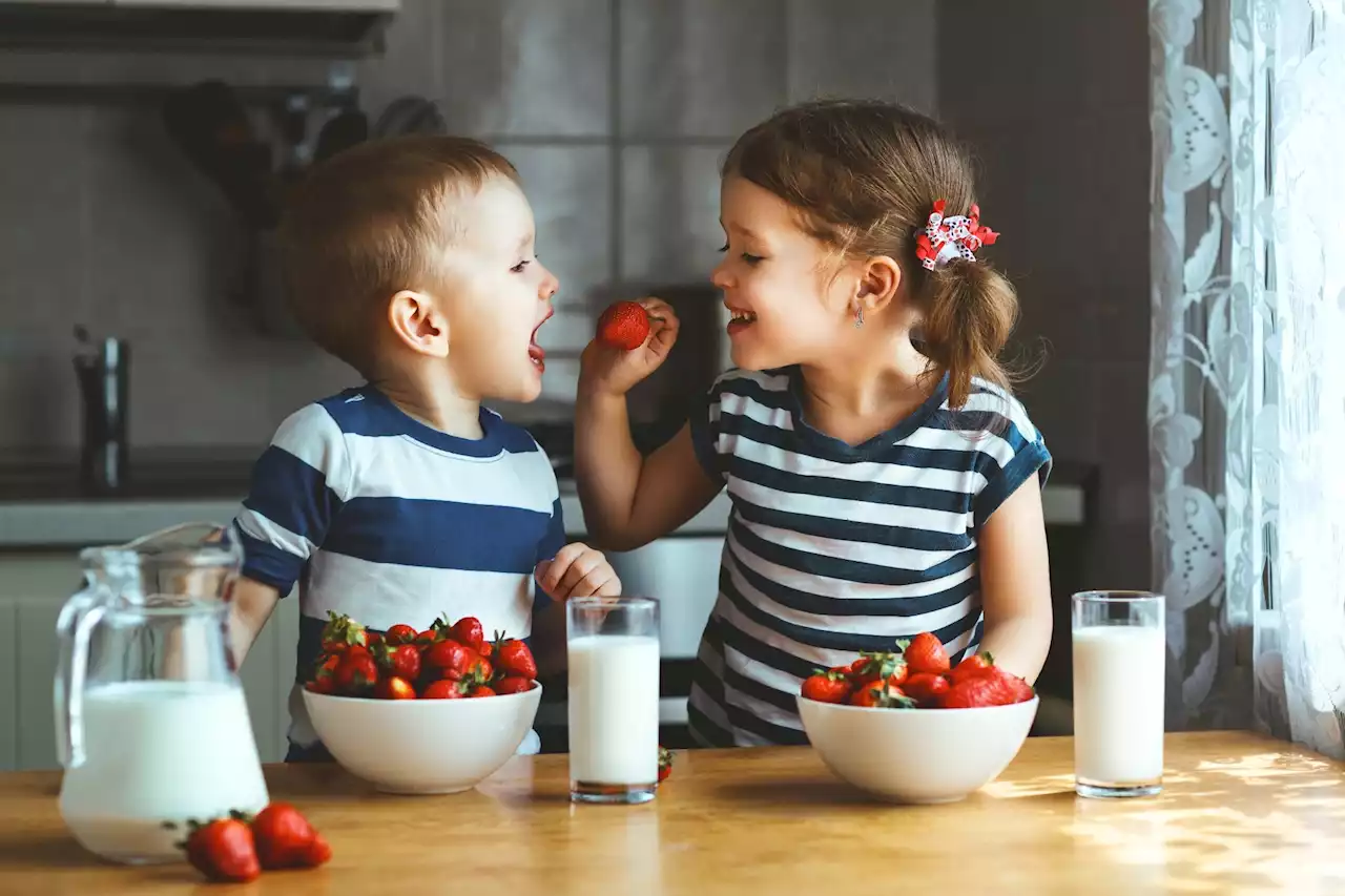 'Every Bite Counts': The importance of monitoring diet in the first 24 months of life